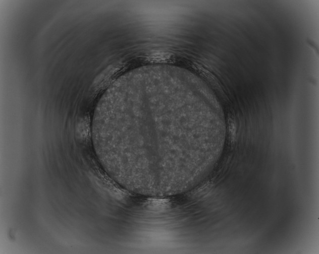 X0000100500665200807031942