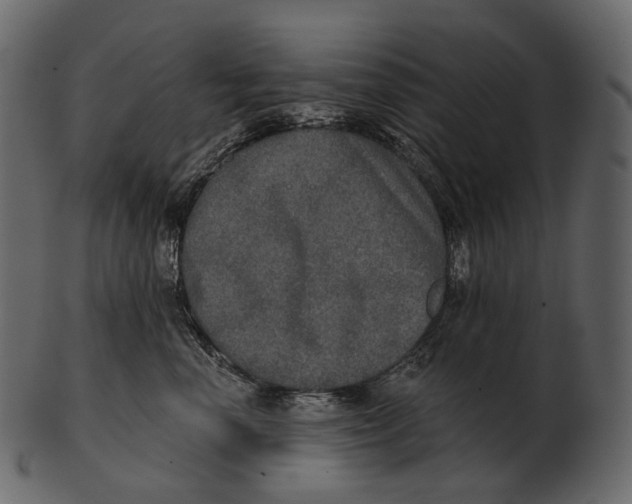 X0000100500666200807031942