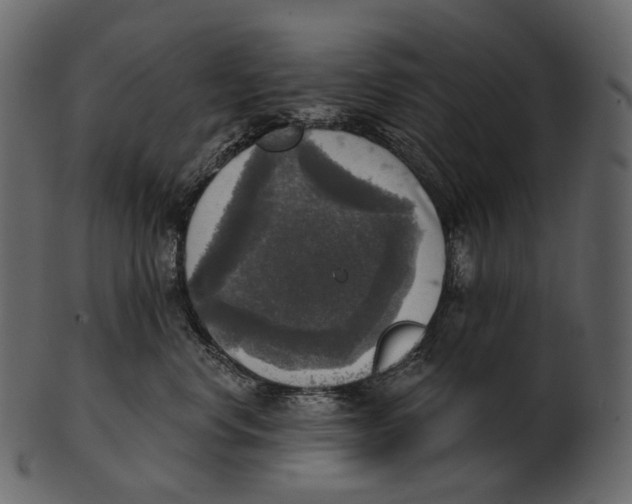 X0000100500668200807031942