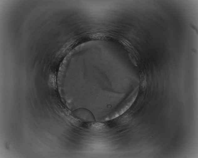 X0000100500669200807031942