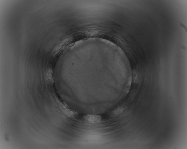 X0000100500670200807031942