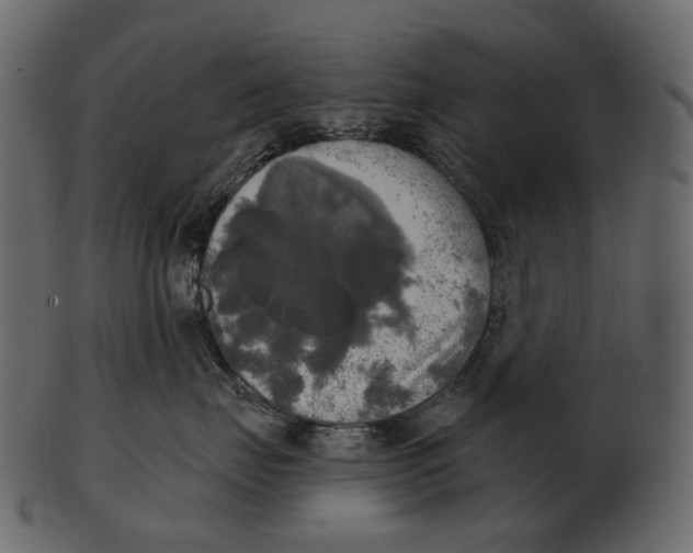 X0000100500671200807031942