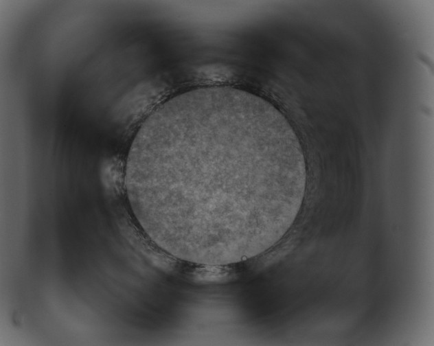 X0000100500672200807031942