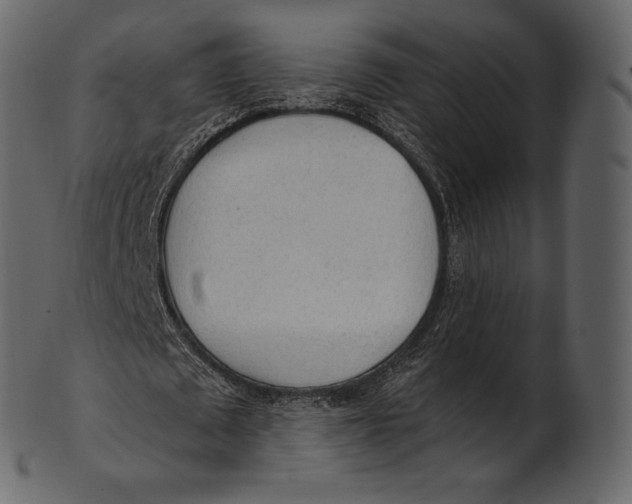 X0000100500673200807031941