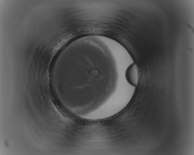 X0000100500674200807031941