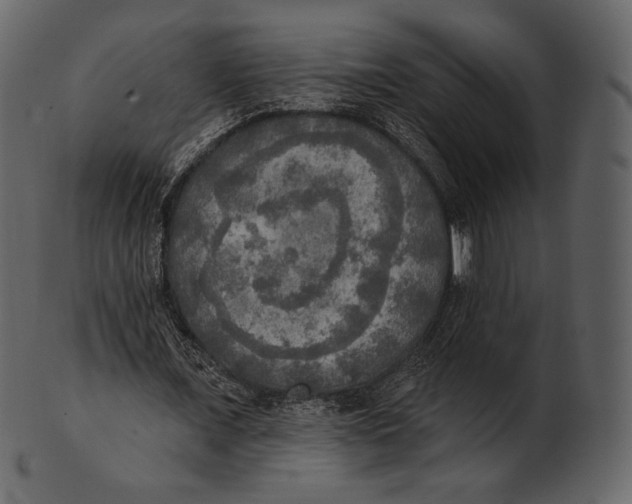 X0000100500675200807031941