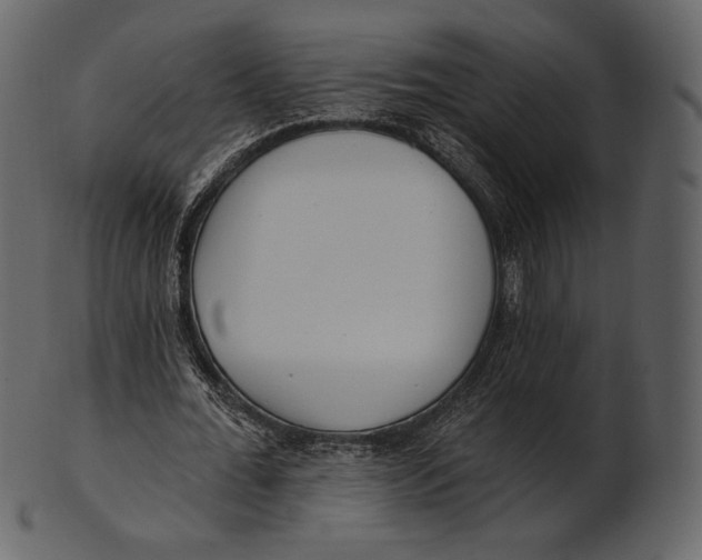 X0000100500676200807031941