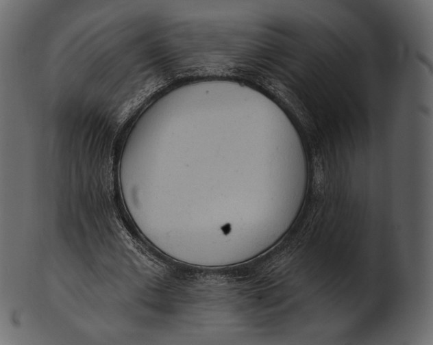 X0000100500677200807031941