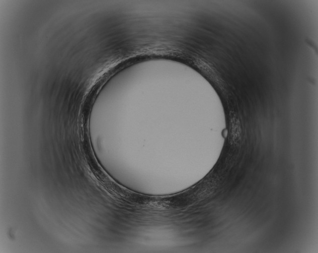 X0000100500680200807031941