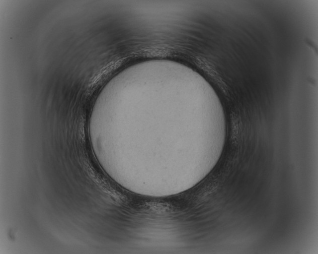 X0000100500681200807031941