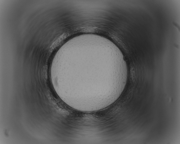 X0000100500682200807031941