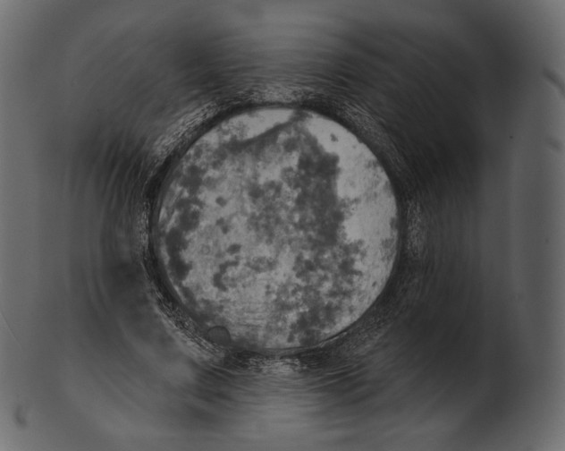 X0000100500683200807031941