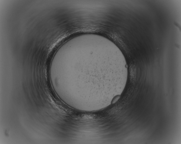 X0000100500684200807031941