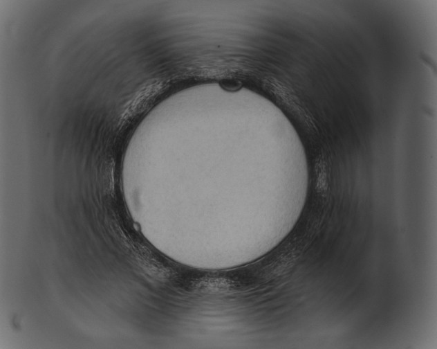 X0000100500685200807031941