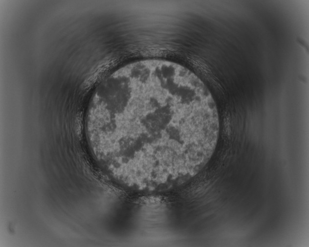 X0000100500687200807031941