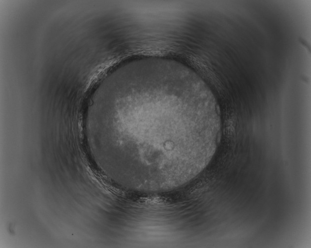 X0000100500688200807031941