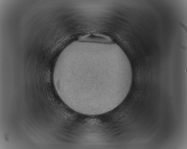 X0000100500689200807031941