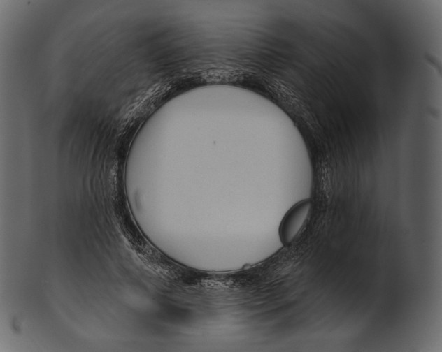 X0000100500690200807031941