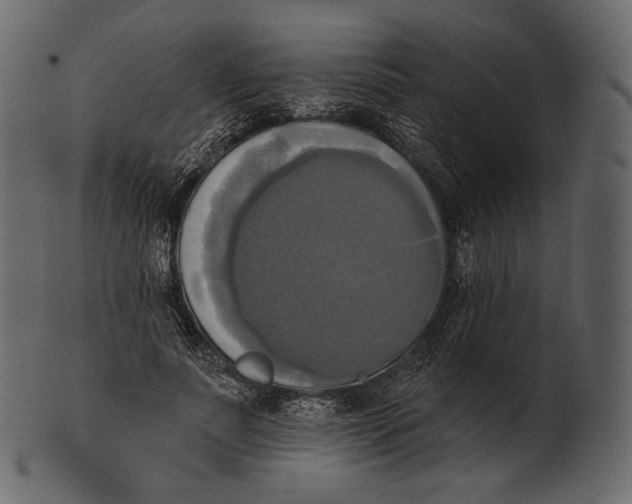 X0000100500691200807031941