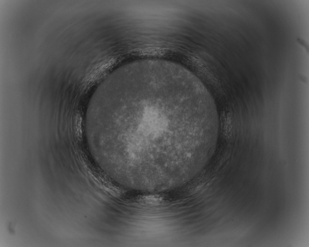 X0000100500692200807031941