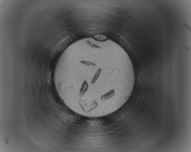 X0000100500693200807031941