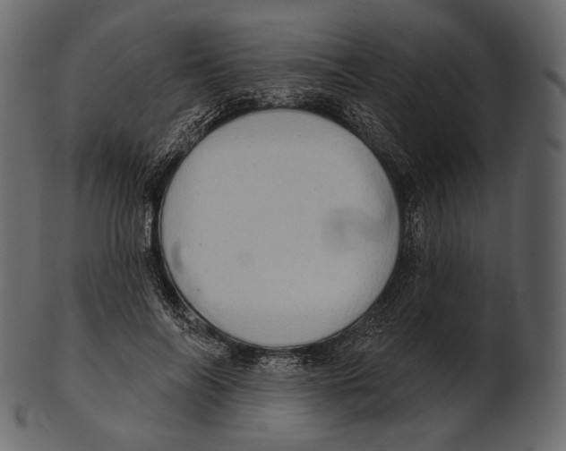 X0000100500694200807031941