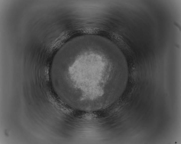 X0000100500696200807031941