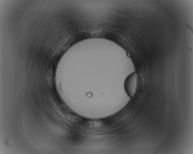 X0000100500698200807031941