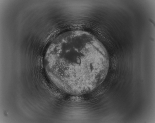 X0000100500699200807031941