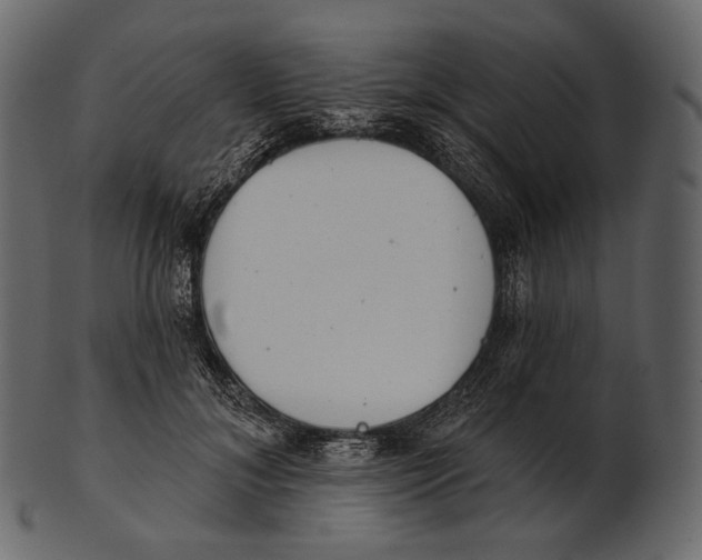 X0000100500700200807031941