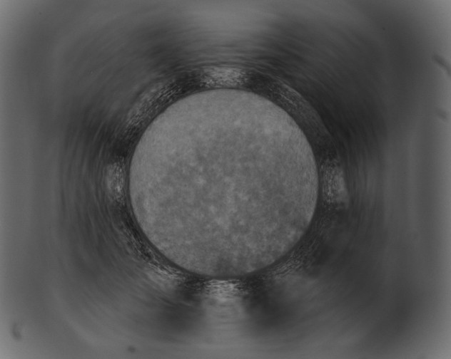 X0000100500701200807031941