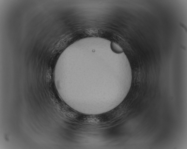 X0000100500702200807031941