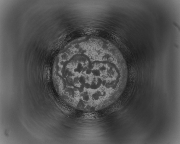 X0000100500703200807031941