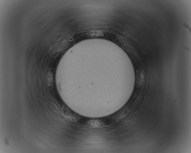 X0000100500704200807031941