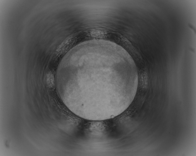 X0000100500705200807031941