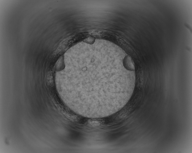 X0000100500706200807031941