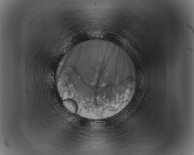 X0000100500707200807031941