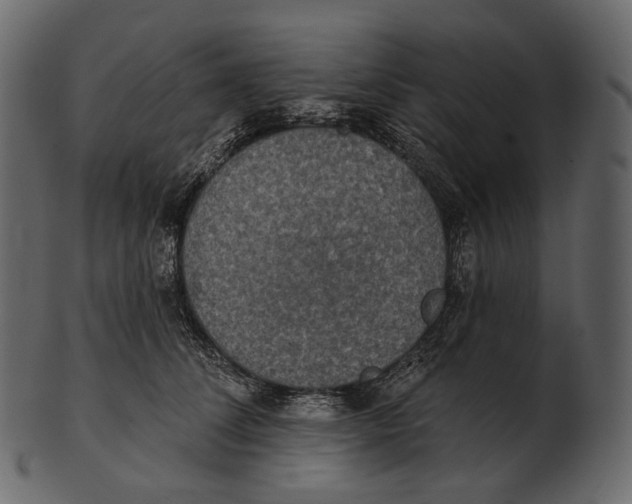 X0000100500708200807031941