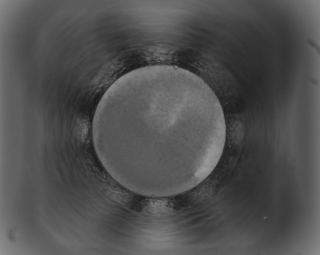 X0000100500709200807031941