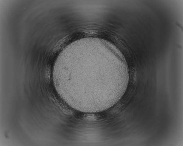 X0000100500710200807031941