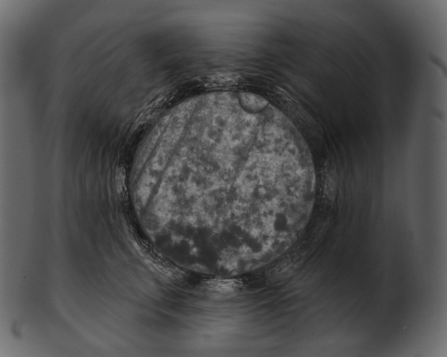 X0000100500711200807031941