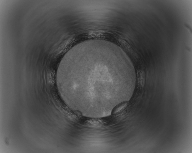 X0000100500712200807031941