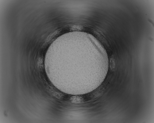 X0000100500714200807031941