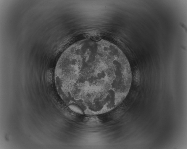 X0000100500715200807031941