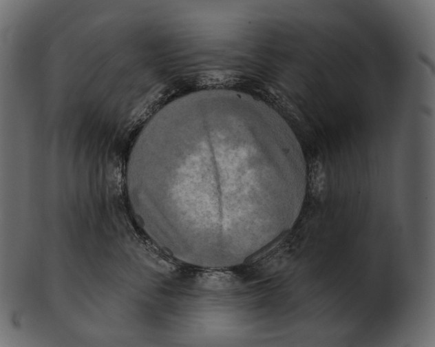 X0000100500716200807031941