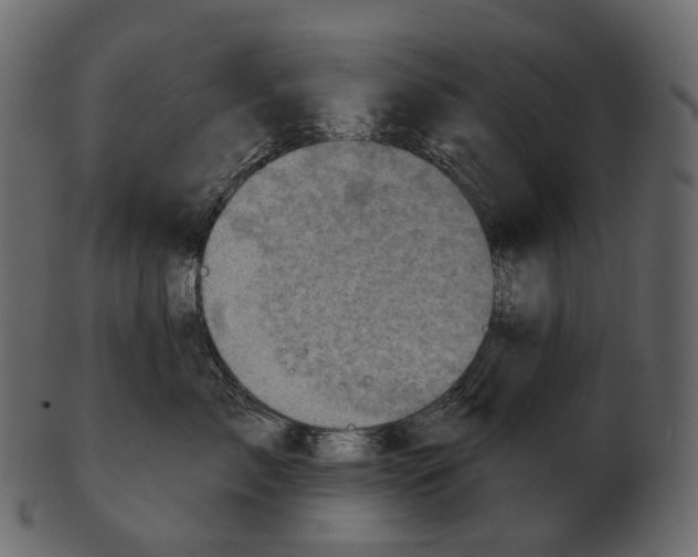 X0000100500717200807031941