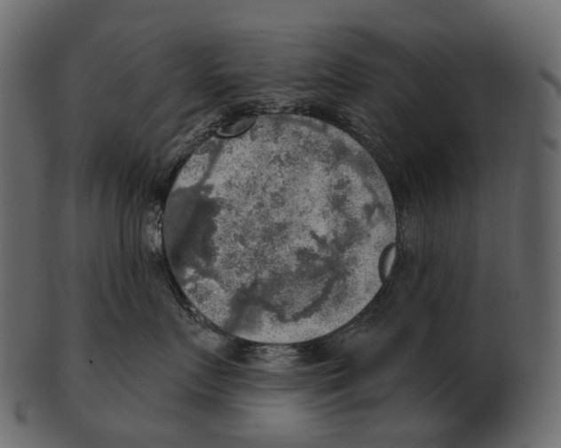 X0000100500719200807031941