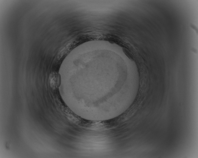 X0000100500720200807031940