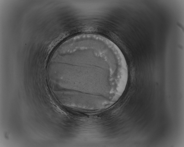 X0000100500721200807031940