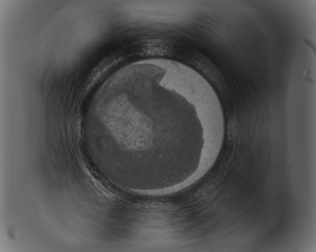 X0000100500722200807031940